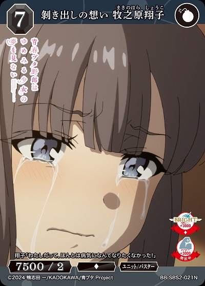 ?き出しの想い 牧之原翔子 【BB-SBS2-021N】